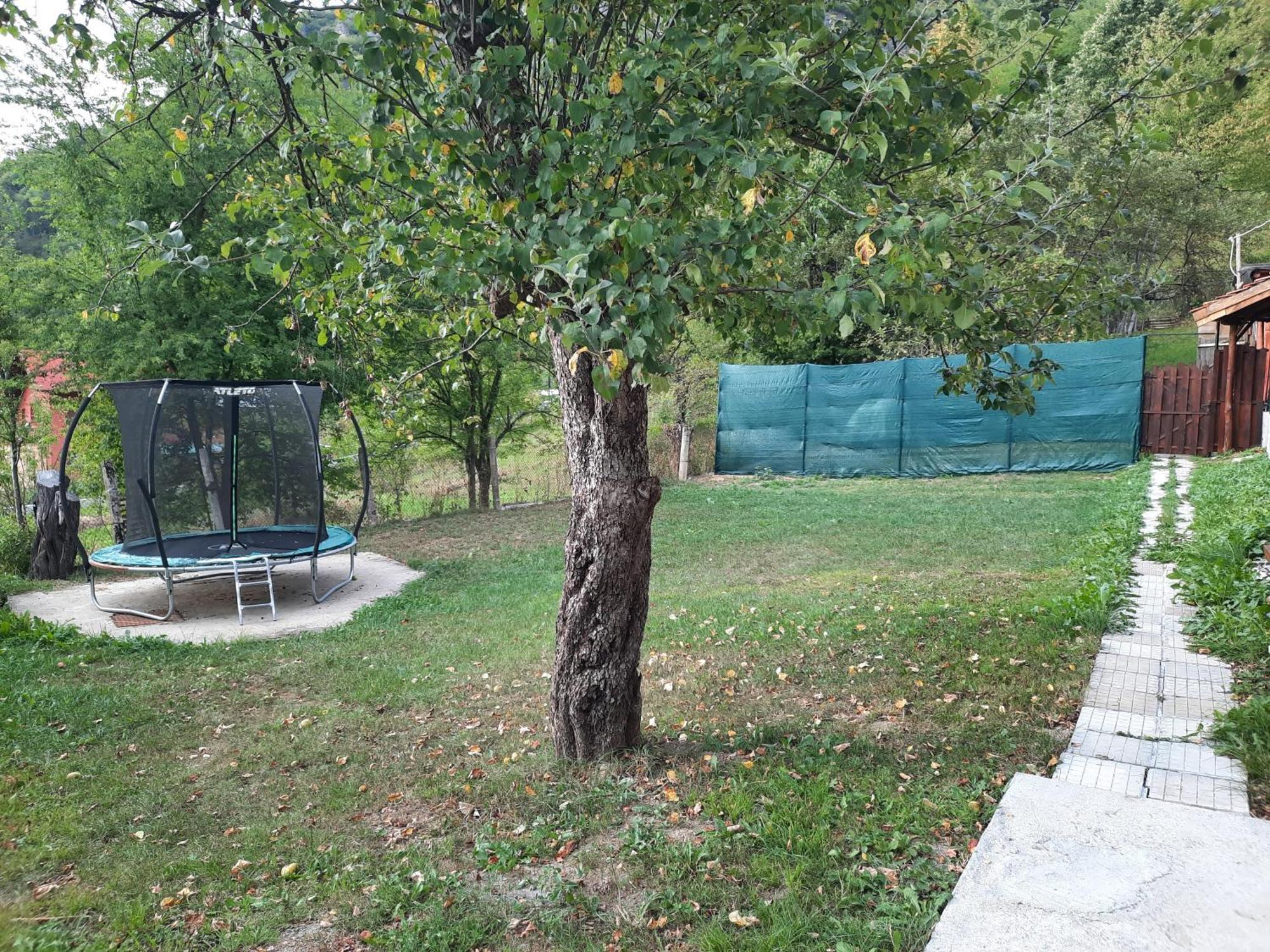 Guest House Lazar Raykov Ribaritsa Exterior foto